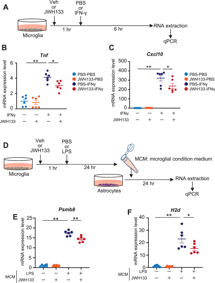 抗炎症効果データ