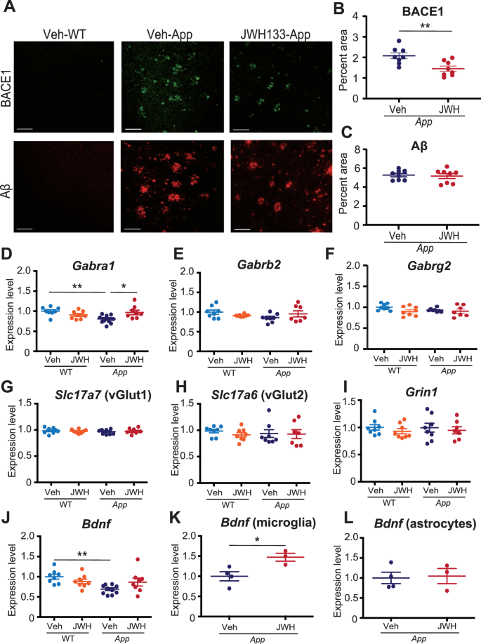 アミロイドβと神経栄養因子